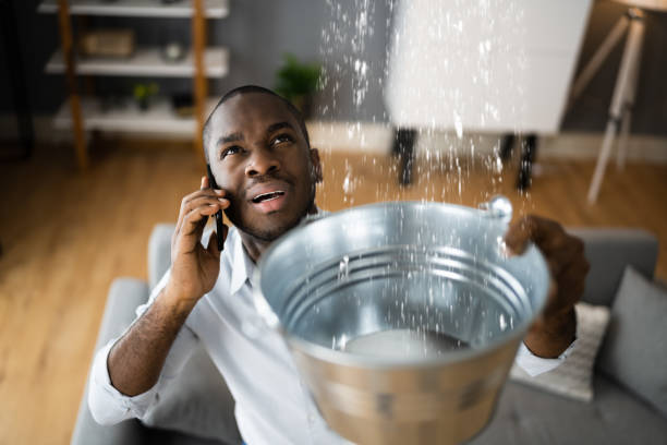 Best Flooded house restoration  in Northdale, FL