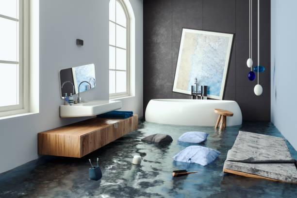 Best Water damage contractors near me  in Northdale, FL