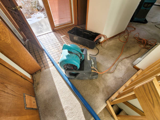 Water damage restoration experts in Northdale, FL