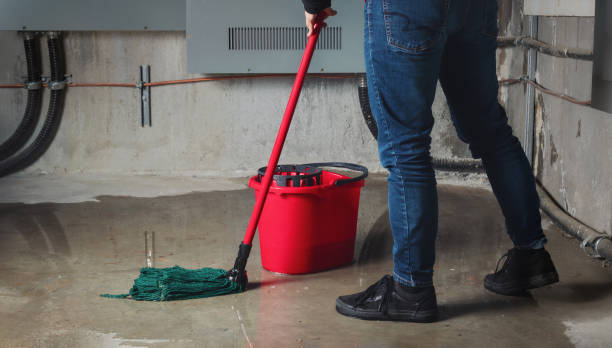  Northdale, FL Water damage restoration Pros