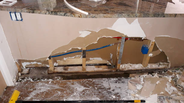 Best Commercial water damage restoration  in Northdale, FL