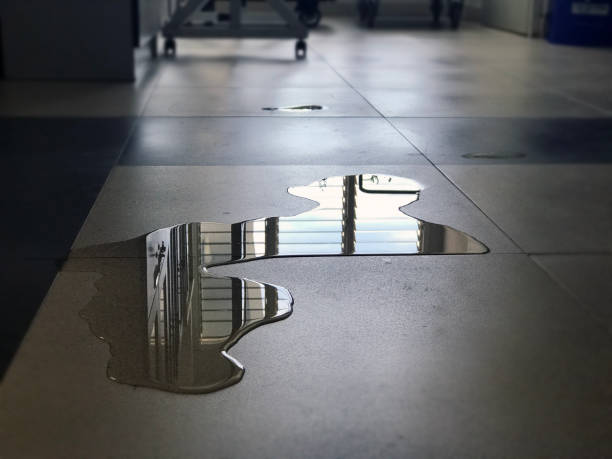 Reliable Northdale, FL Water damage restoration Solutions
