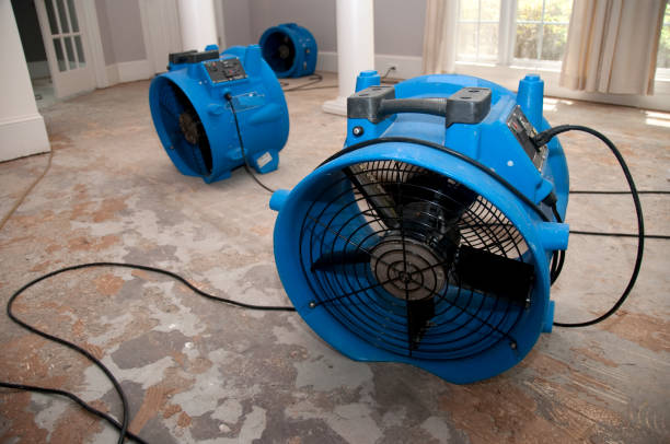Best 24/7 water damage repair  in Northdale, FL