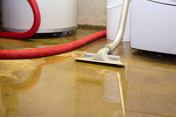 Fire Damage Restoration in Northdale, FL