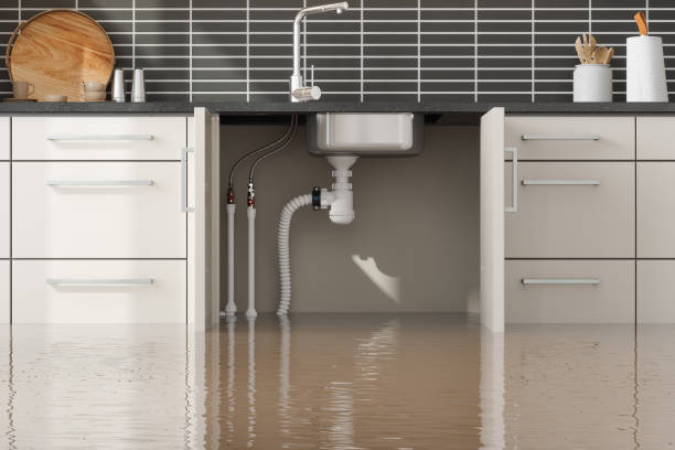 Best Emergency water damage restoration  in Northdale, FL
