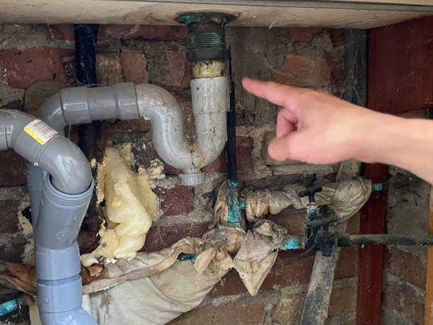Best 24-hour water damage restoration  in Northdale, FL