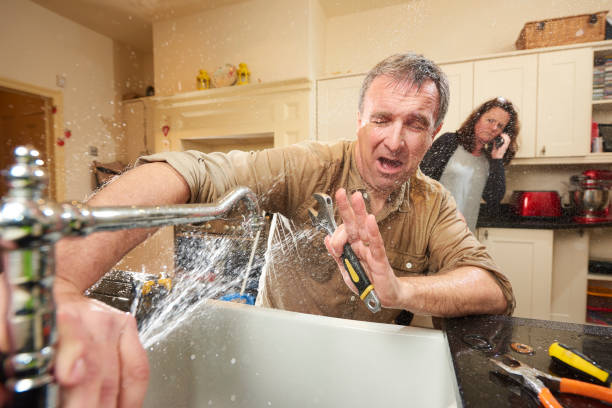 Best Flood restoration services  in Northdale, FL